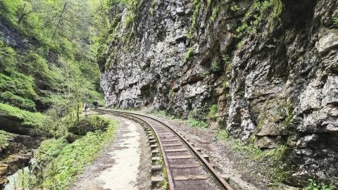 фото альбома